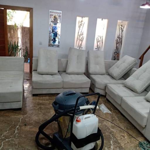 Especialista em lavagem a seco em Limeira