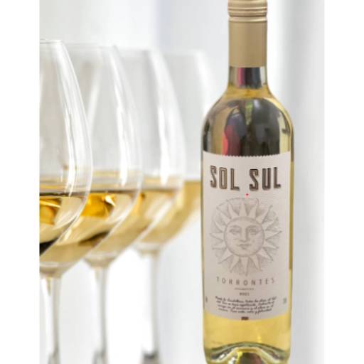 Vinho Branco Sol Sul Torrontés 2021