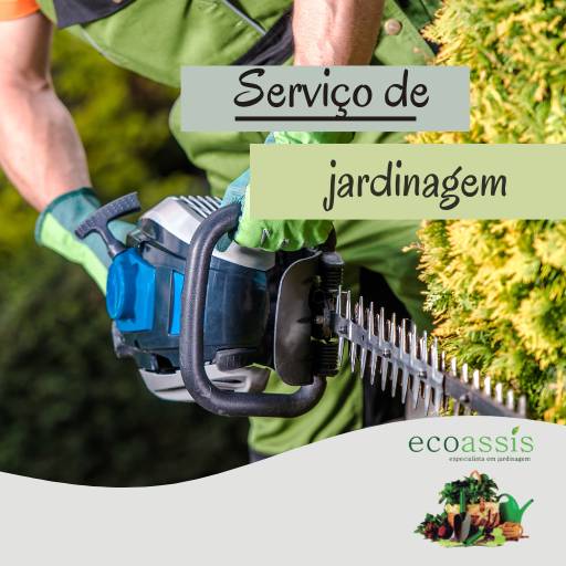 Comprar a oferta de Serviços de jardinagem em Assis em Jardinagem pela empresa EcoAssis em Assis, SP por Solutudo