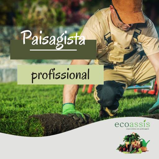 Comprar o produto de Paisagista em Assis em Paisagismo pela empresa EcoAssis  em Assis, SP por Solutudo