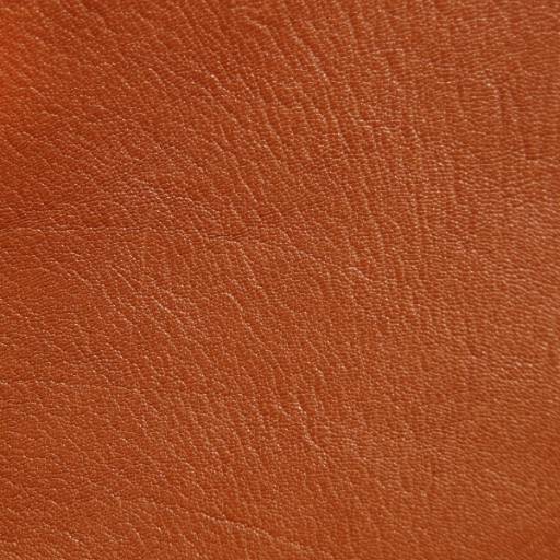 Higienização e hidratação de couro