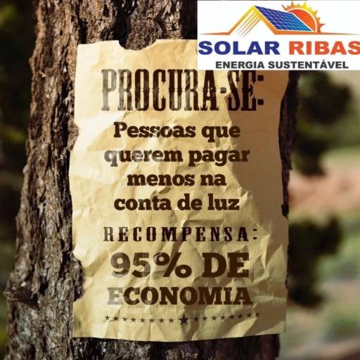 Comprar o produto de Especialista em Energia Solar em Energia Solar pela empresa Solar Ribas em Ribas do Rio Pardo, MS por Solutudo
