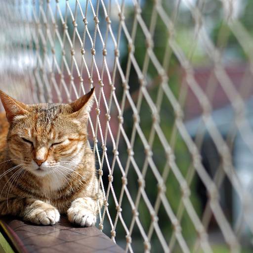 Tela de proteção para apartamento 