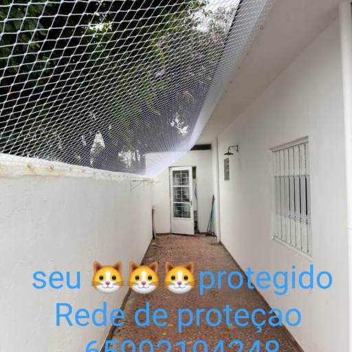 Redes de proteção para gatos
