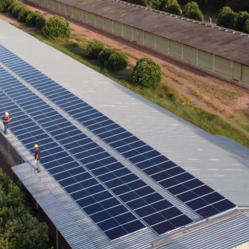 Limpeza de Placa Solar – Máxima Eficiência e Durabilidade – Ribeirão Preto/SP por DLX Energia Solar - Ribeirão Preto