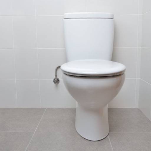 Desobstrução de vasos sanitários por Deslim desentupidora