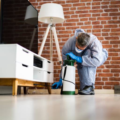 detetização de ambientes