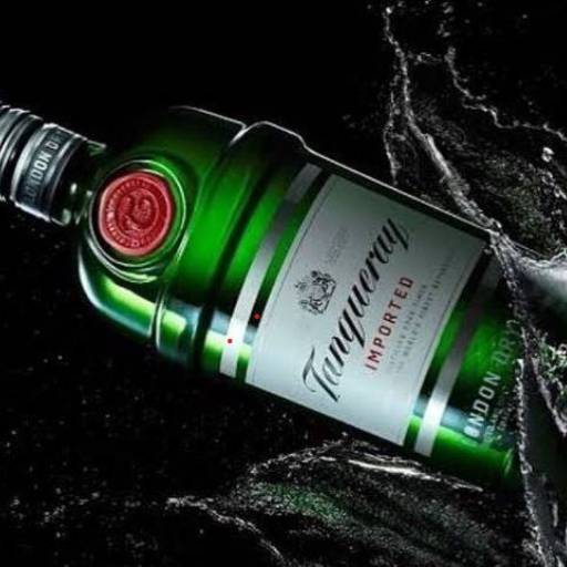 Gin por Adega e Tabacaria Dream - Loja 2