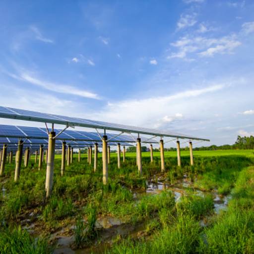 Comprar o produto de  Energia Solar para Agronegócio - Sustentabilidade e Economia em Guarapuava/PR em Energia Solar pela empresa GuaraSolar Energia Renováveis em Guarapuava, PR por Solutudo