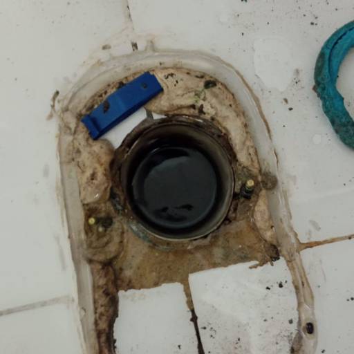 Desentupimento de Vasos Sanitários