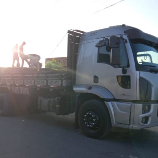 Gramas por Florestinha Do Eudes