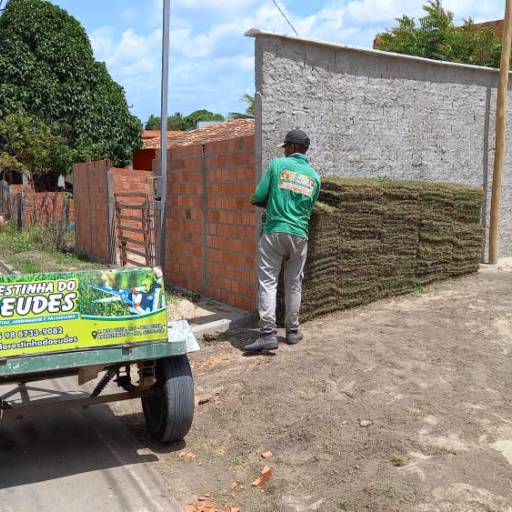 Frutíferas e árvores por Florestinha Do Eudes