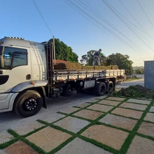 Frutíferas e árvores por Florestinha Do Eudes
