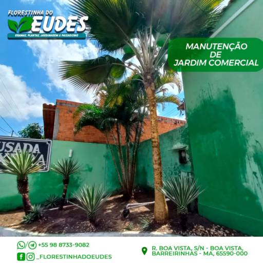 Manutenção de Jardim por Florestinha Do Eudes