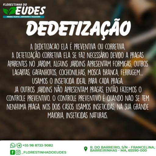 Manutenção de Jardim por Florestinha Do Eudes