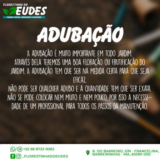 Manutenção de Jardim por Florestinha Do Eudes