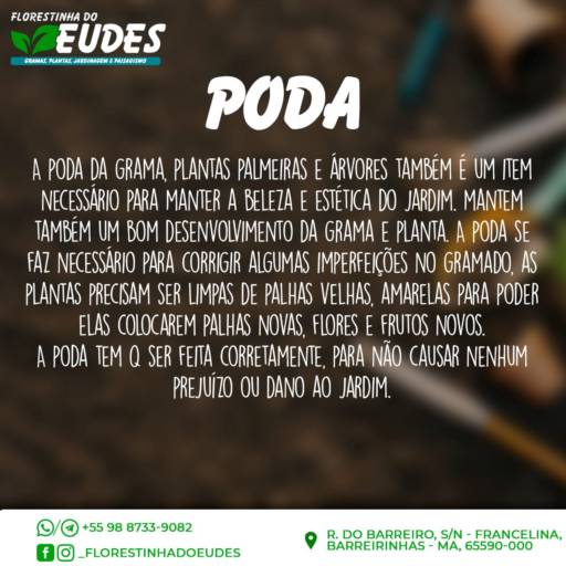 Manutenção de Jardim por Florestinha Do Eudes