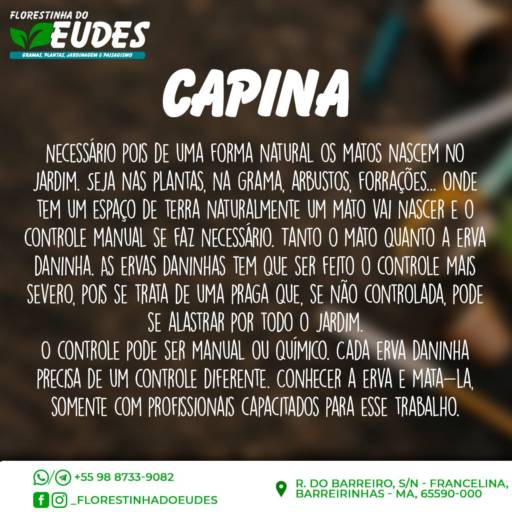 Manutenção de Jardim por Florestinha Do Eudes