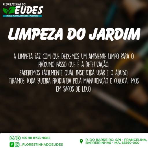 Manutenção de Jardim por Florestinha Do Eudes