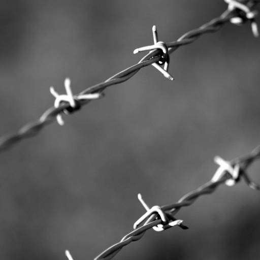 Arame farpado por ADCASA Materiais de Construção