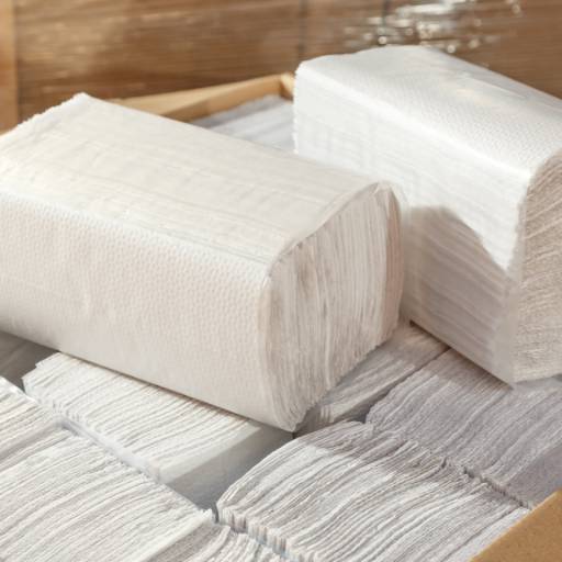 Comprar o produto de Toalhas de papel em Embalagens pela empresa Embalagens Vida em Presidente Prudente, SP por Solutudo