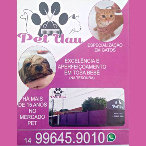 Comprar o produto de Estética animal em Pet Shop pela empresa Pet Uau Pet Shop - Especialista Tosa Tesoura de Pequeno Porte em Botucatu, SP por Solutudo
