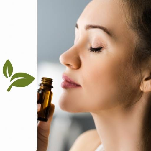 Aromaterapia por Universo Natural Boulevard