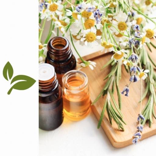 Florais por Universo Natural Boulevard