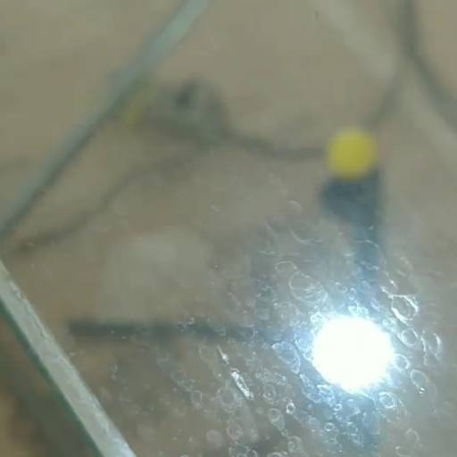 Remoção de calcificação nos vidros do carro em Bauru