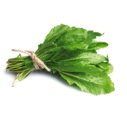 Agrião  por Quitanda e distribuidora ELO