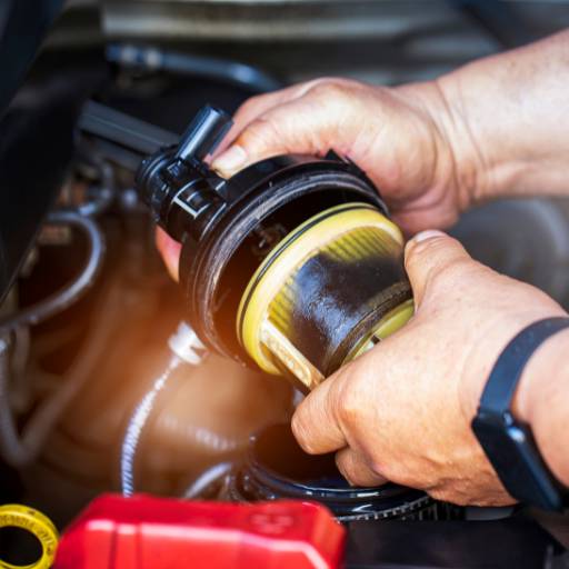 Filtros de automóveis leves TECFIL/ Donaldosn/ MANN