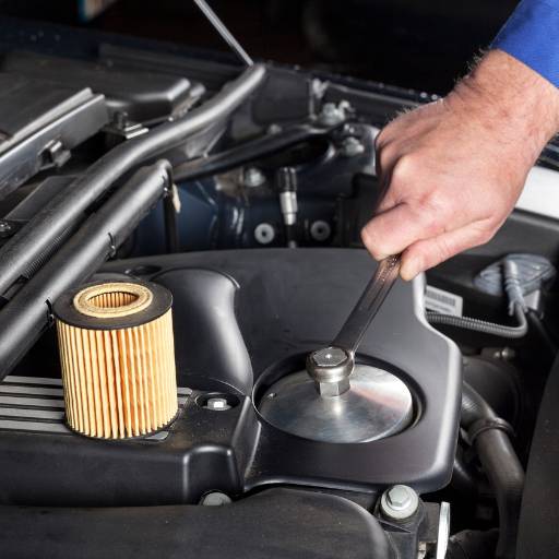 Filtros de automóveis pesados TECFIL/ Donaldosn/ MANN