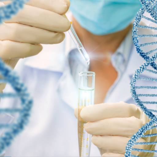 Teste de paternidade (DNA) por SUPRALAB Medicina Diagnóstica