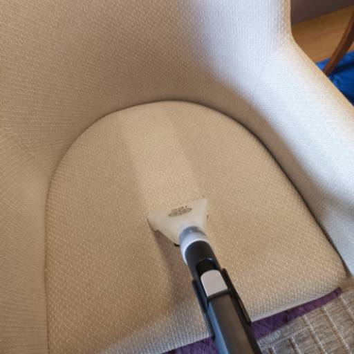 Higienização a vapor  por Dr. Clean Joinville