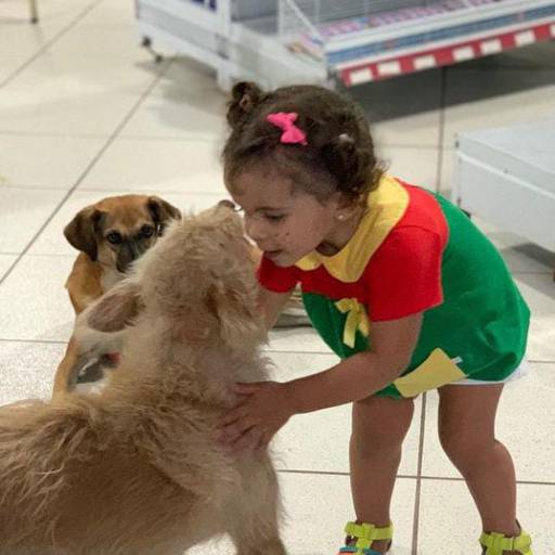 Adoções e Doações de Pets 