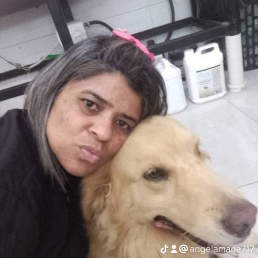 Banho Pet temático - Praia por Tia Angela Centro de Estética Animal