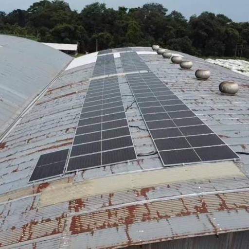 Comprar o produto de Limpeza de Placa Solar em Energia Solar pela empresa MJR Solar e Elétrica em Nova Mutum, MT por Solutudo