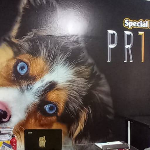 Papel de Parede por PrintXpress