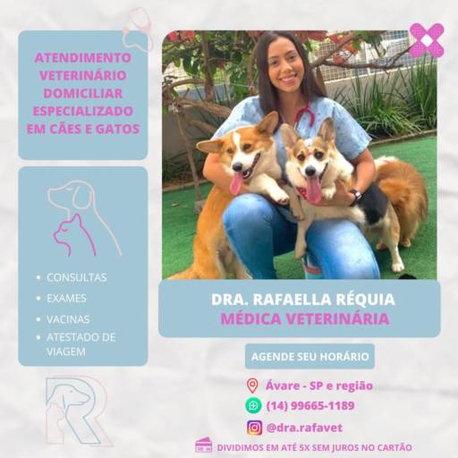 Médica veterinária especializada em cães e gatos por Rafaella Réquia Atendimento Vet Domiciliar