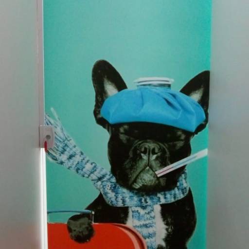 Adesivo em portas e blindex:  jateado, chapado, perfurado e cores em Bauru por ArteDream Comunicação Visual