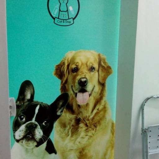 Adesivo em portas e blindex:  jateado, chapado, perfurado e cores em Bauru por ArteDream Comunicação Visual