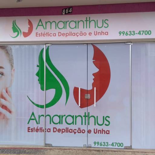 Adesivo de vitrine: recorte, jateado, chapado e perfurado em Bauru por ArteDream Comunicação Visual