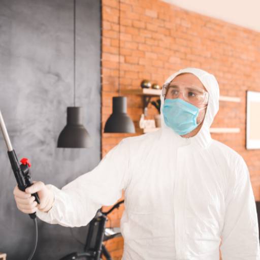 Dedetização de Escorpiões por Compertek