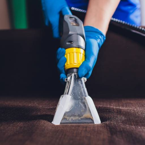 Empresa especializada em higienização de estofados  por Gil Higienização