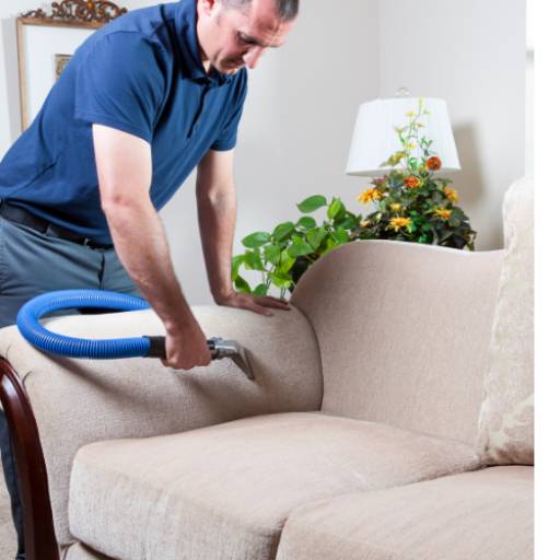 Higiênização de Sofás