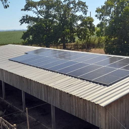 Limpeza de Placa Solar