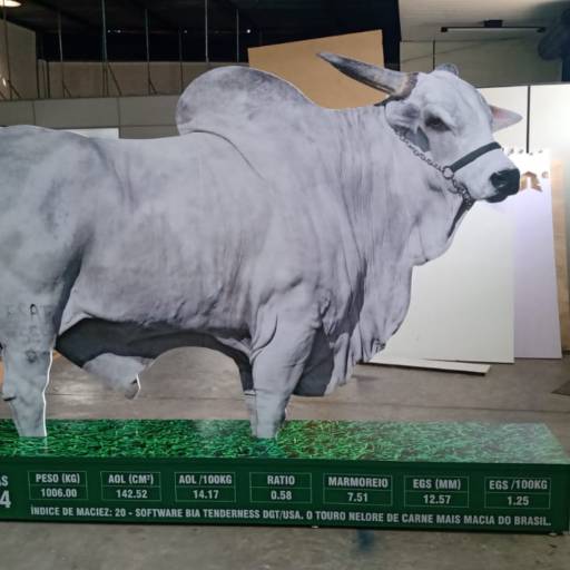 Totten em Mdf Adesivado