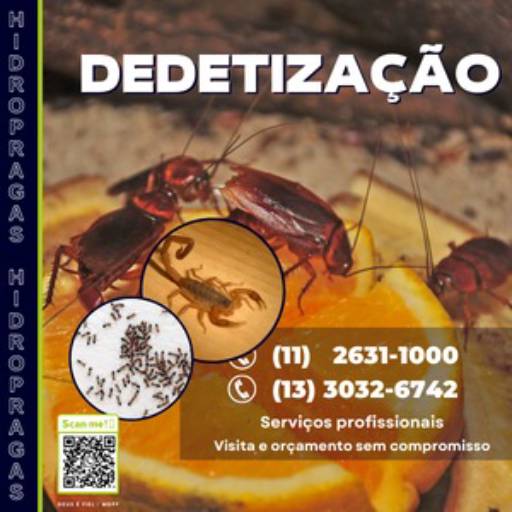 Dedetização por Hidro Pragas Dedetizadora e Desentupidora