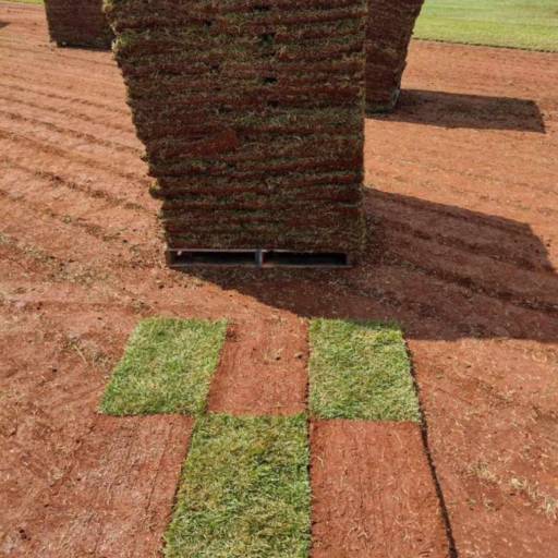 Venda de grama por Aguiar Jardinagem Paisagismo e Grama