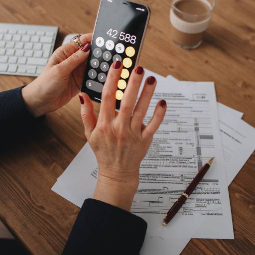 Regularização de contas por DELOGO & SAINTS CONTABILIDADE LTDA